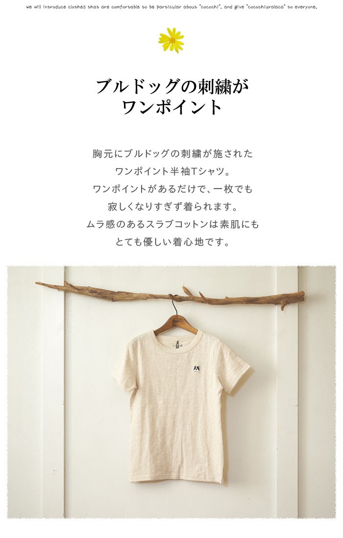 DANAFANEUIL ダナファヌル 前後異素材のカットソー 後ろがストライプになった一枚で着られるカットソー レディース シンプル ナチュラル 春 夏 DANA FANEUIL DANAFANEUIL ダナファヌル 前後異素材のカットソー