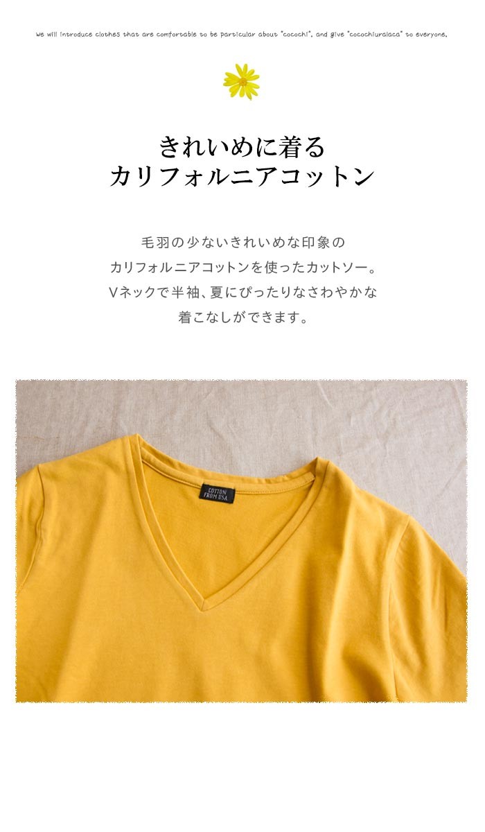 カットソー 半袖 Vネック カリフォルニアコットン 綿 無地 Hunch