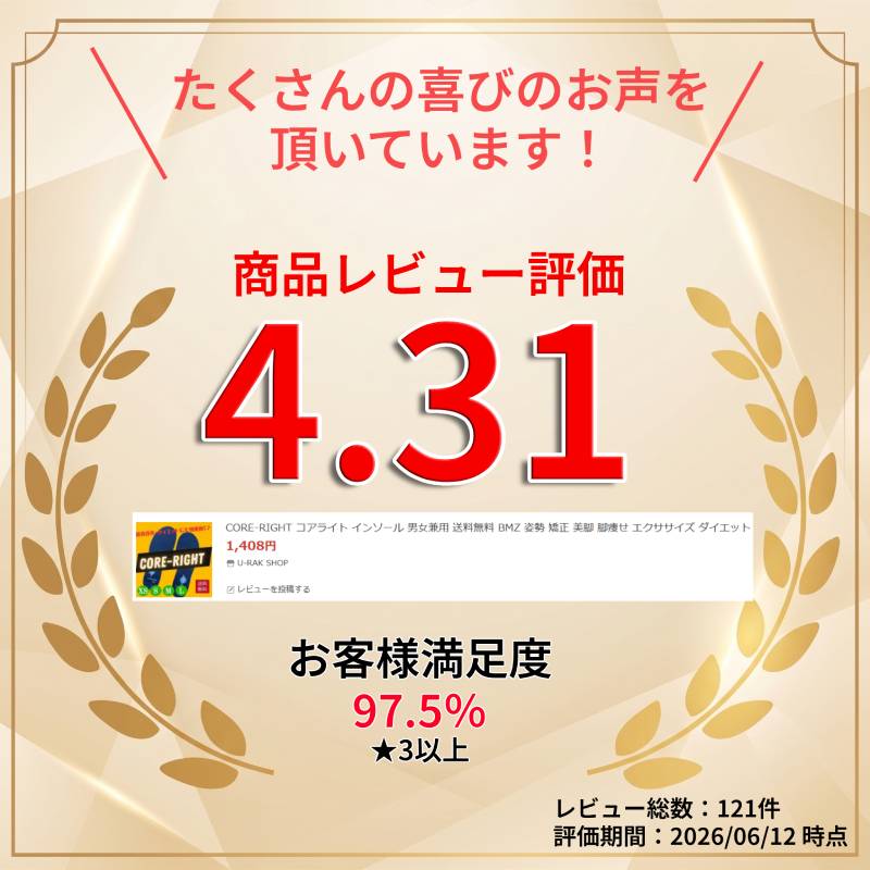 CORE-RIGHT コアライト インソール 男女兼用 送料無料 BMZ 姿勢 矯正