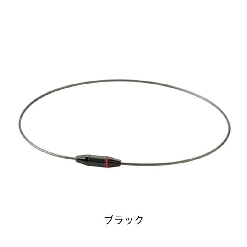 RAKUWA ファイテン RAKUWAネックレス EXTREME カーボン スポーツ