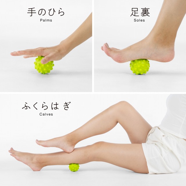 サクライ貿易　筋トレチューブ 特徴
