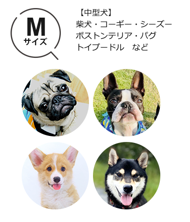 TUNERS　アニマル