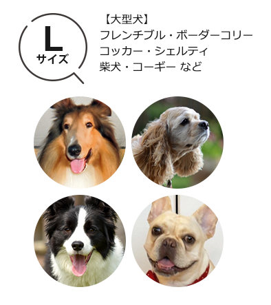 TUNERS　アニマル