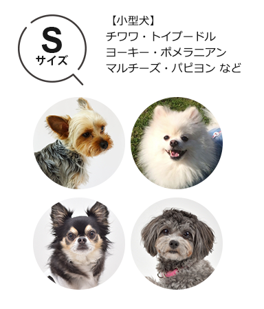 TUNERS　アニマル