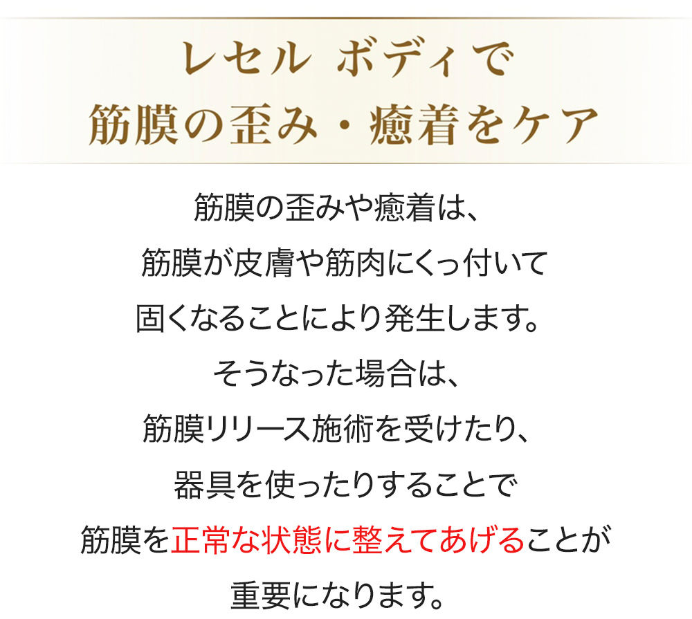 筋膜リリース 筋膜はがし 吸引 ローラー EMS マッサージ エステ 筋膜リリース 筋膜はがし 吸引 ローラー EMS マッサージ エステ