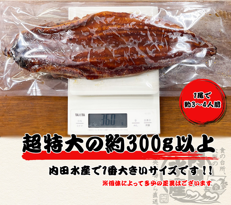 送料無料】土用丑 御中元 ”中国産うなぎ蒲焼き2尾入り” 1尾300g以上 うなぎ ウナギ 蒲焼き 有頭 中国産 水産加工品 ギフト 送料無料  :1000000-ung05:内田水産 Yahoo!店 - 通販 - Yahoo!ショッピング