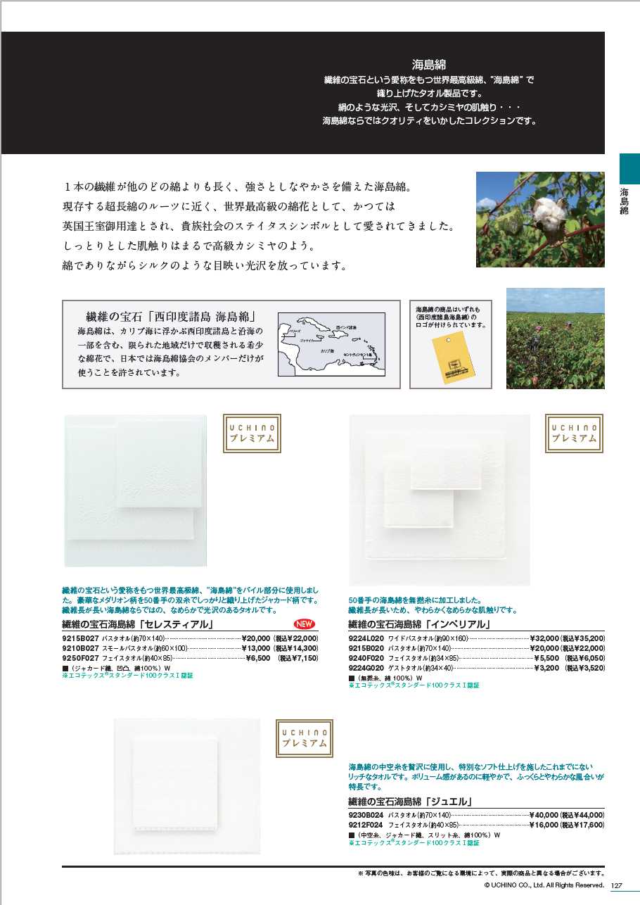 UCHINO SALE 海島綿 繊維の宝石 海島綿「セレスティアル」 フェイス