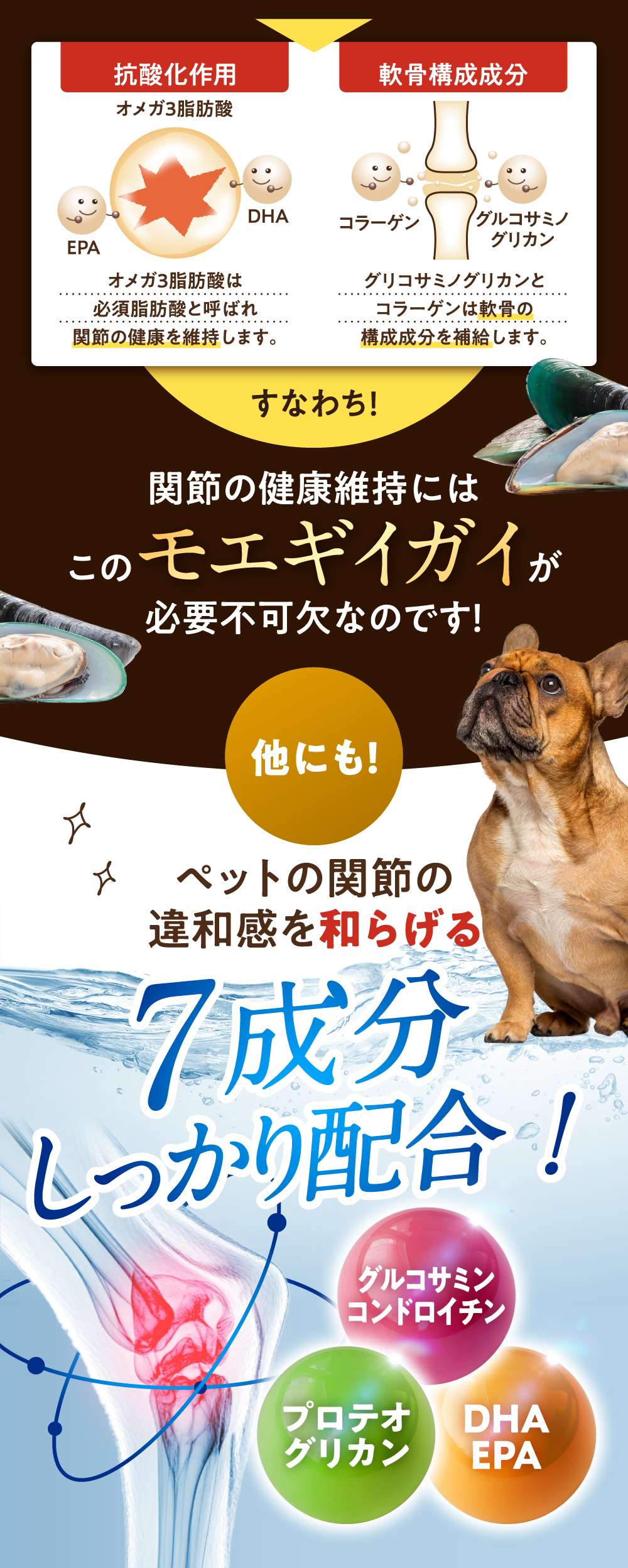 犬 サプリメント