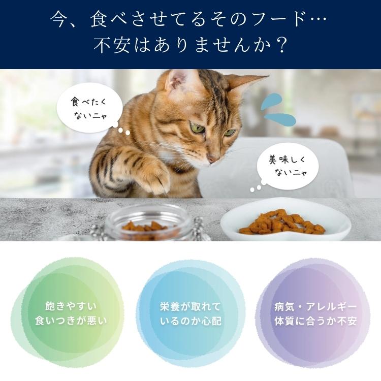 【2個セット】ハッピーキャット【 シニア アトランティック サーモン 1.3kg 】HAPPY CAT シニア猫 小粒 グルテンフリー ドライフード  スキンケア 関節ケア