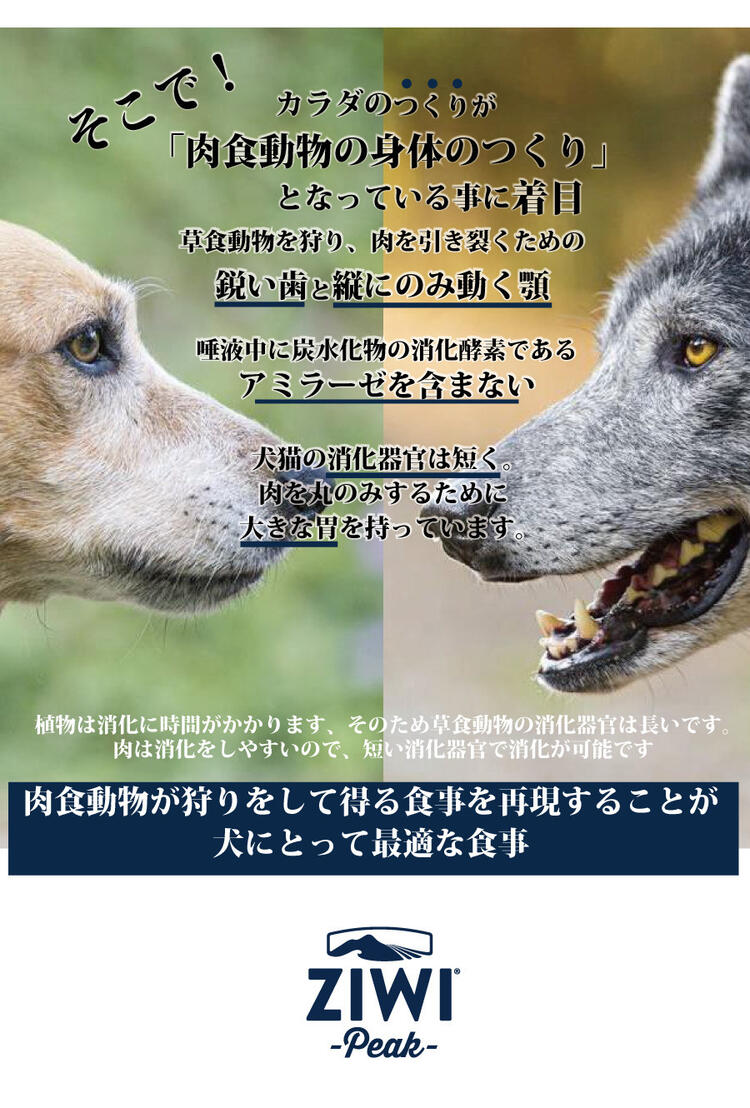 イヌやネコは「肉食」動物の体の作りであることに注目！犬猫の消化器官は短く、肉を丸のみするために大きな胃を持っています。犬猫にとっては肉は消化をしやすいので、「肉食動物が狩りをして得る食事を再現することが、犬にとって最適な食事」です。