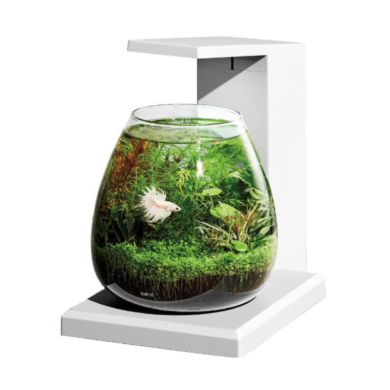 アクアテラリウムセットのおすすめ人気商品一覧 通販 - Yahoo!ショッピング