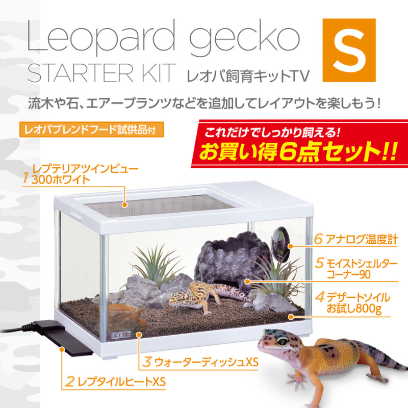 小型爬虫類飼育セット Amazon | GEX EXOTERRA レオパ飼育キット 小型爬虫類飼育セット Amazon | GEX EXOTERRA レオパ飼育キット