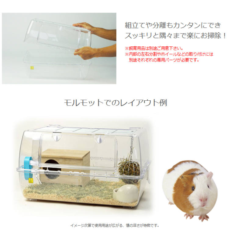 モルモット飼育セット スターターセットのおすすめ人気商品一覧