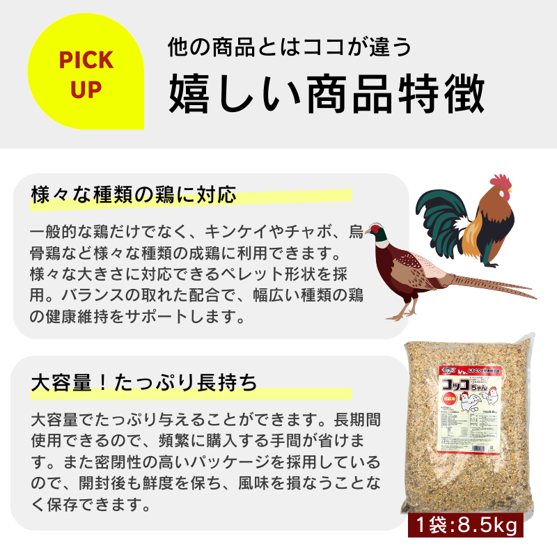 ニワトリのエサ24kg製造翌日出荷 超新鮮配合飼料 鶏の餌 鳥のエサ 送料無料 鶏 の 餌 配合 飼料（鳥のエサ）｜鳥用品 | ペット用品、生き物 の