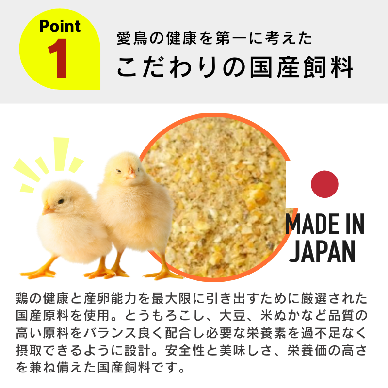 コッコちゃん ひよこ用 600g×24袋セット ひよこ専用 にわとり ひよこ