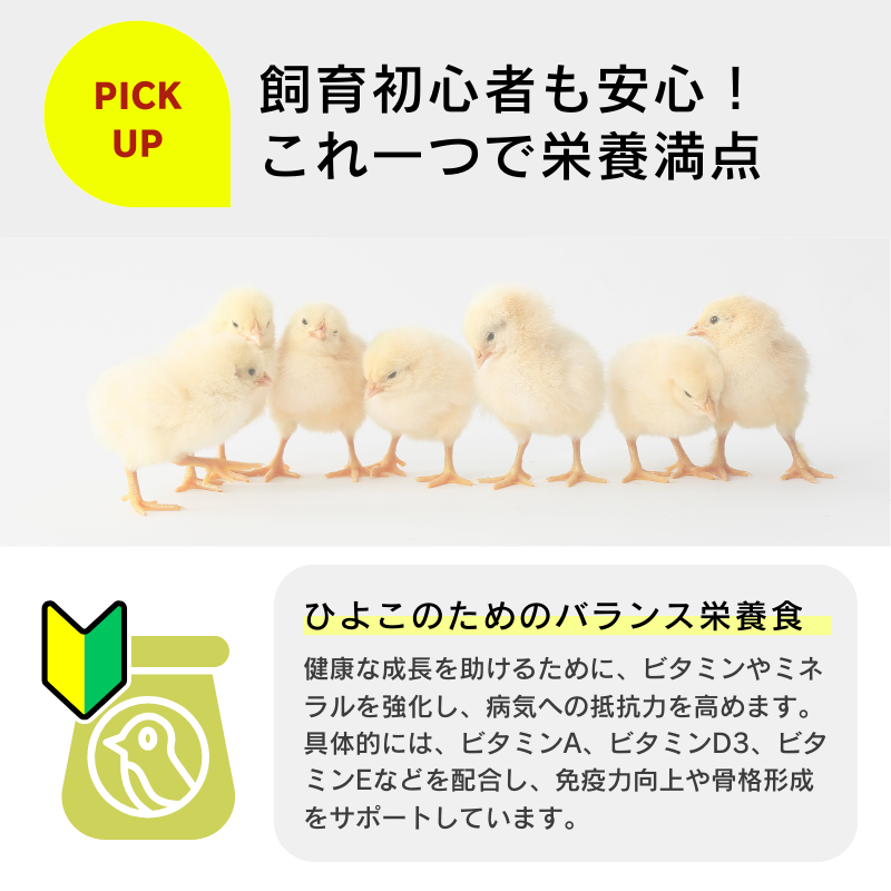 コッコちゃん ひよこ用 600g×24袋セット ひよこ専用 にわとり ひよこ