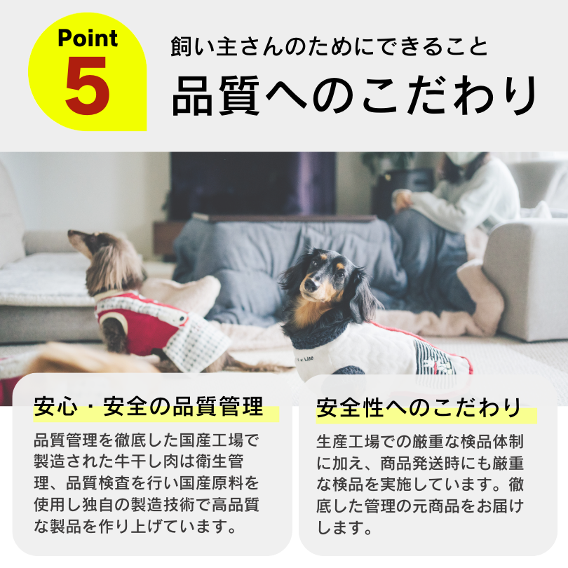おいしい牛干し肉 80g×24袋セット 国産 牛肉 国産牛肉 無添加 無着色 厳選素材 ストレス解消 歯磨き 大容量 多頭飼い |  | 08