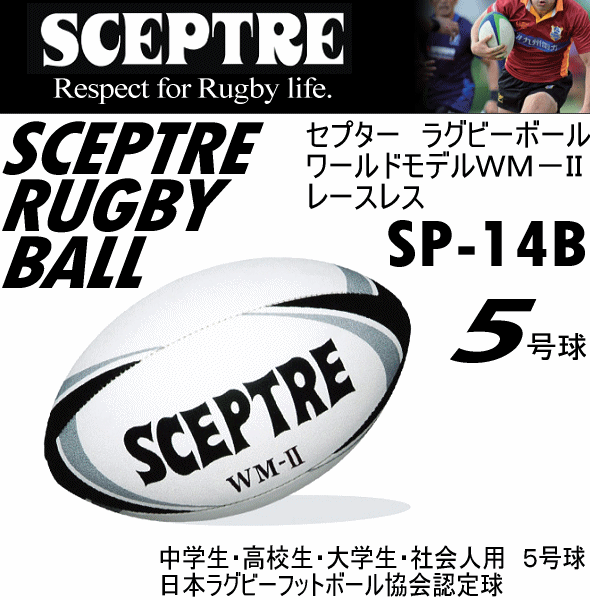 sce-sp14b-a.gif