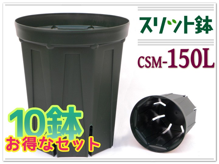 〇10鉢セット〇 スリット鉢 直径15cm 5号〈深型 ロングタイプ