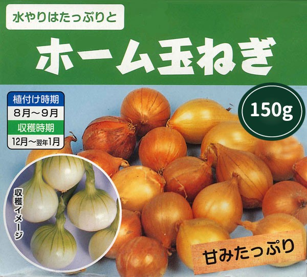11周年記念イベントが 7月下旬よりお届け 野菜球根 ホーム玉ねぎ タマネギ 約150g入 家庭菜園 コンテナ栽培に 夏 秋植え球根 第四種郵便発送可 Aynaelda Com