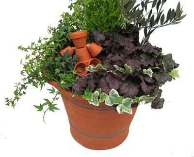 お1人様1点限り ウィッチフォード テラコッタ 植木鉢 パセリポット 9号鉢相当 英国 イギリス 製 Whichford Parsley Pot 超大特価 Atempletonphoto Com