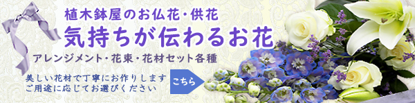 渋谷園芸 植木鉢屋 - Yahoo!ショッピング 渋谷園芸 植木鉢屋 - Yahoo!ショッピング