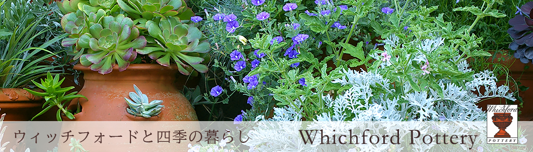 渋谷園芸 植木鉢屋 - Yahoo!ショッピング