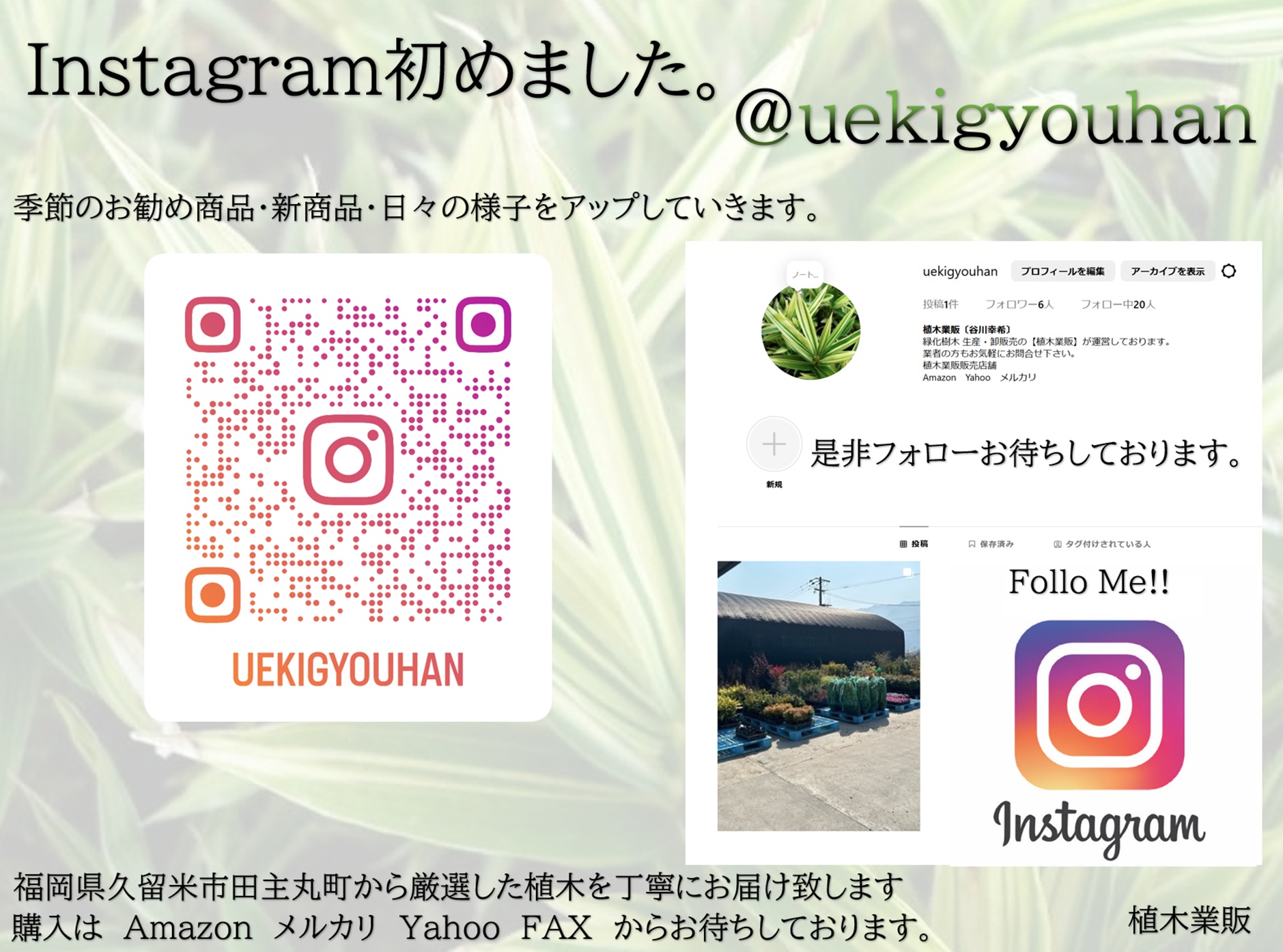 Instagram