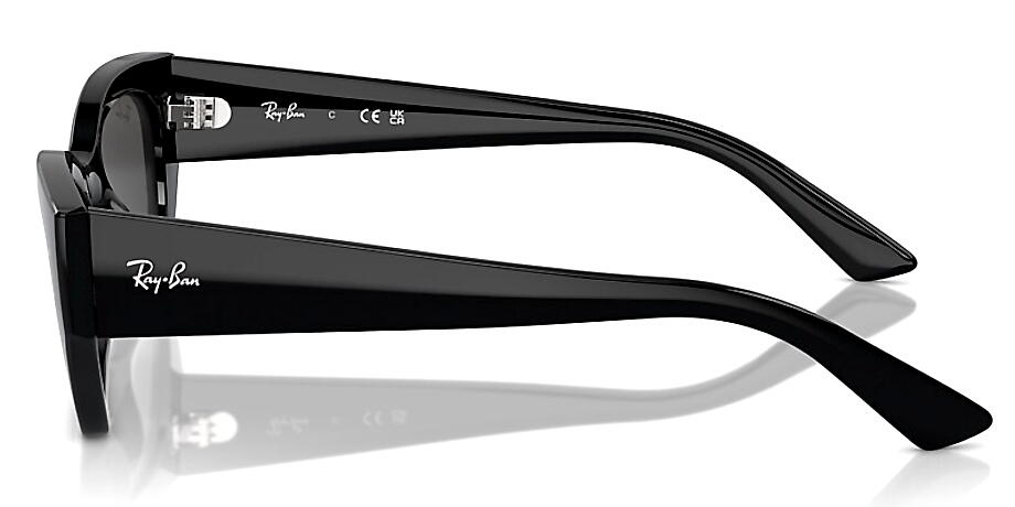 Ray-Ban（レイバン） RayBan ZENA RB4430F 667787 52mm ブラック