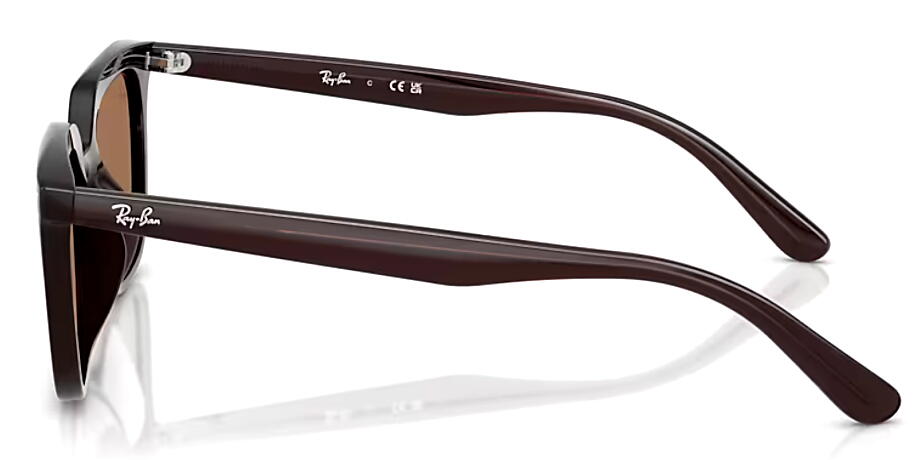 Ray-Ban（レイバン） RayBan RB4439D 623173 54mm オパールブラウン