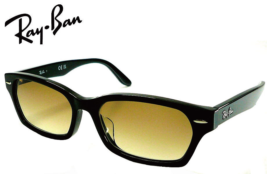 Ray-Ban（レイバン） Ray-Ban RX5344D 2000 BRG 55サイズ ブラウングレ