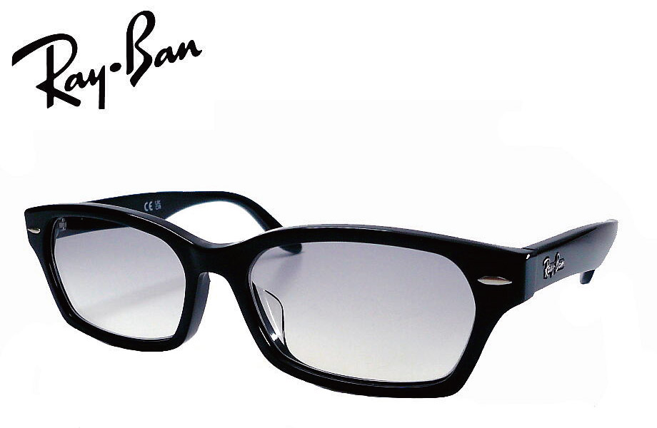 Ray-Ban（レイバン） Ray-Ban RX5344D 2000 GYG 55サイズ グレーグレ