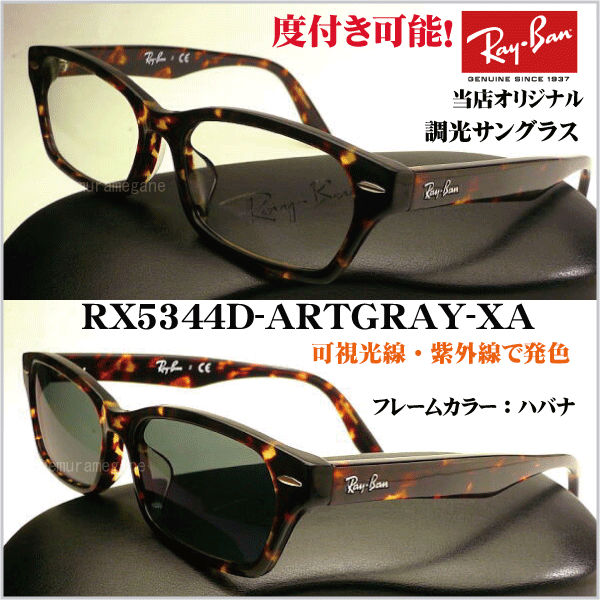 Ray-Ban RayBan RX5344D-ARTGRAY-EX 可視光線調光サングラスセット 55