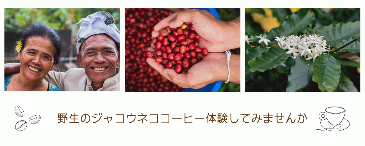 UFUーCOFFEE - Yahoo!ショッピング