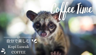 UFUーCOFFEE - Yahoo!ショッピング