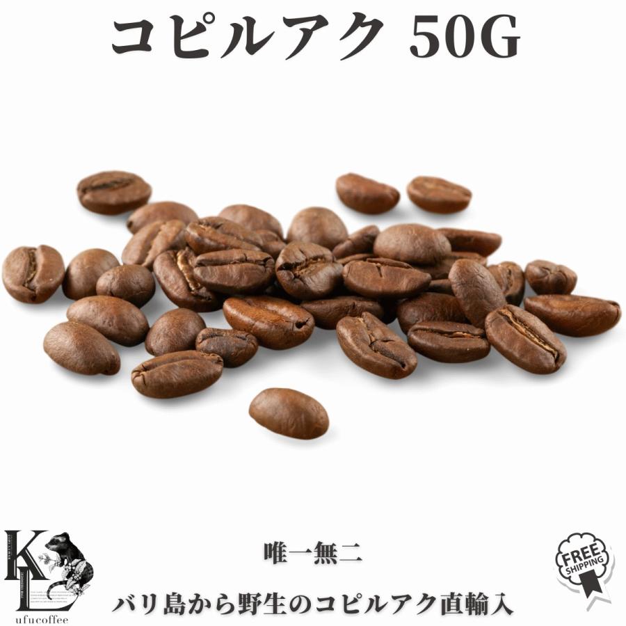 ジャコウネココーヒー コピルアク コピルアック コーヒー豆 珈琲豆 50g : kopiluwak-light-50g : UFUーCOFFEE -  通販 - Yahoo!ショッピング