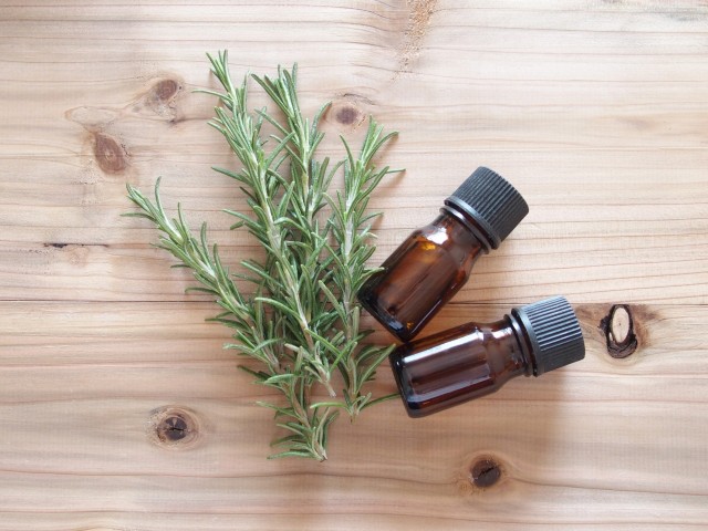 ローズマリー抽出物 Ugペット Com 通販 Yahoo ショッピング