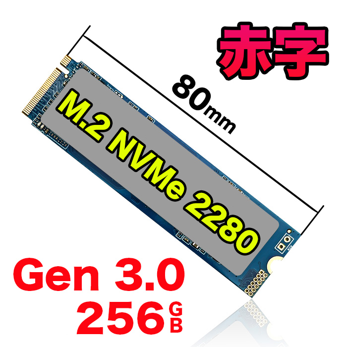 赤字覚悟！ 新品です NVMe M.2 2280 Type 2280 SSD 256GB PCIe Gen 3.0 3D 省電力 最大読取り3000MB/s 最大書込み2300MB/s 内蔵 寿命 スティック｜ugreen-oaplaza