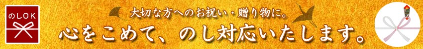 陶器 焼き物 赤膚焼き 芸術 オブジェ プレゼント ギフト インテリア 大塩 奈良 茶碗 湯呑み 皿 とっくり 酒器 器 ぐいのみ カップ