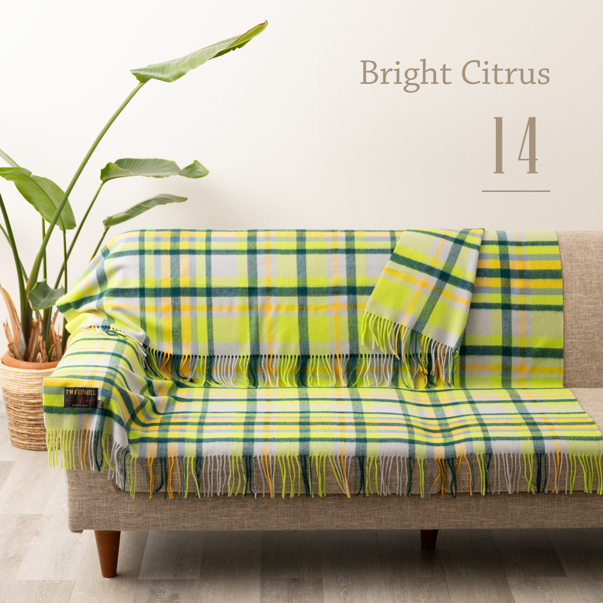 TWEED MILL（ツイードミル） ラムウール ラグ ブランケット スロー 140