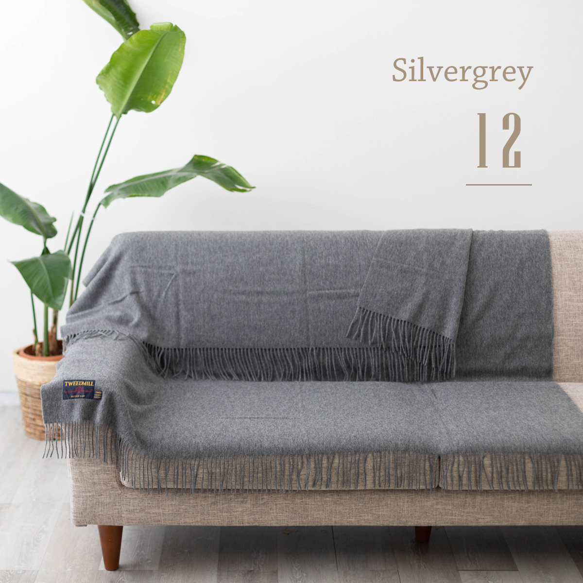 グレースコンチネンタル新品紙タグ付き⭐️ウールボア衿ラムレザージャケット2way グレースコンチネンタル新品紙タグ付⭐️ウールボア衿ラムレザー