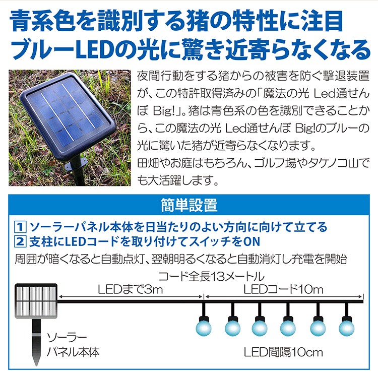 イノシシ避けに効果あり。魔法の光。LED通せんぼ。 いのしし防止LED通せんぼ - 青色LEDでイノシシ撃退！