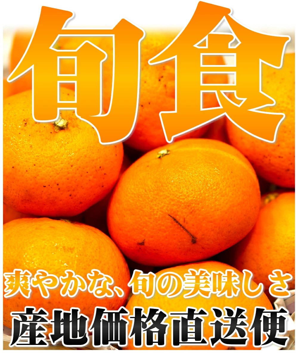 lemonページ 甘平1月中旬より発送予定 ご予約 楽天市場】甘平 訳あり 予約の通販