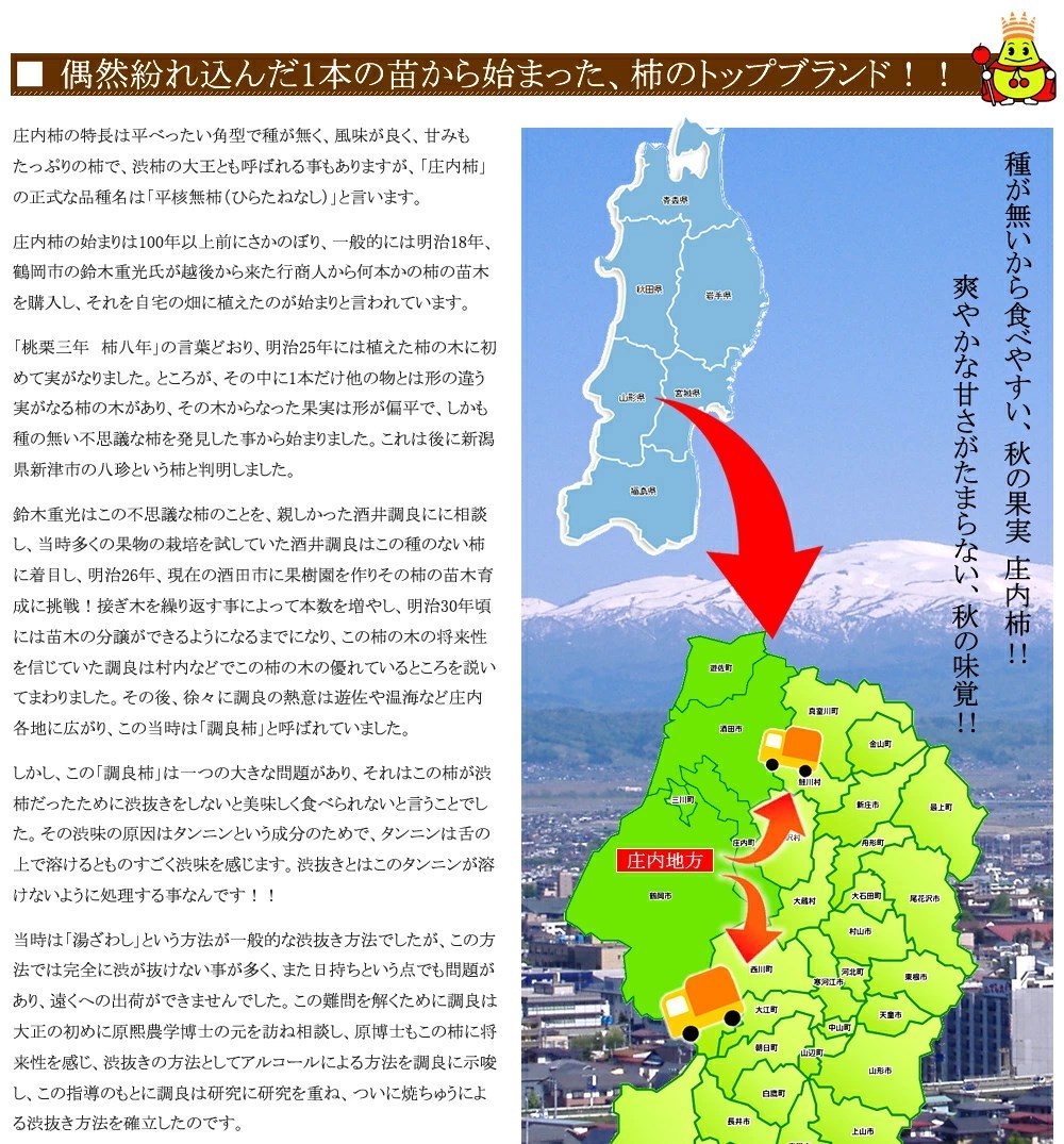 山形県産 柿 庄内柿 3.3kg(秀品 大玉 18玉入り)