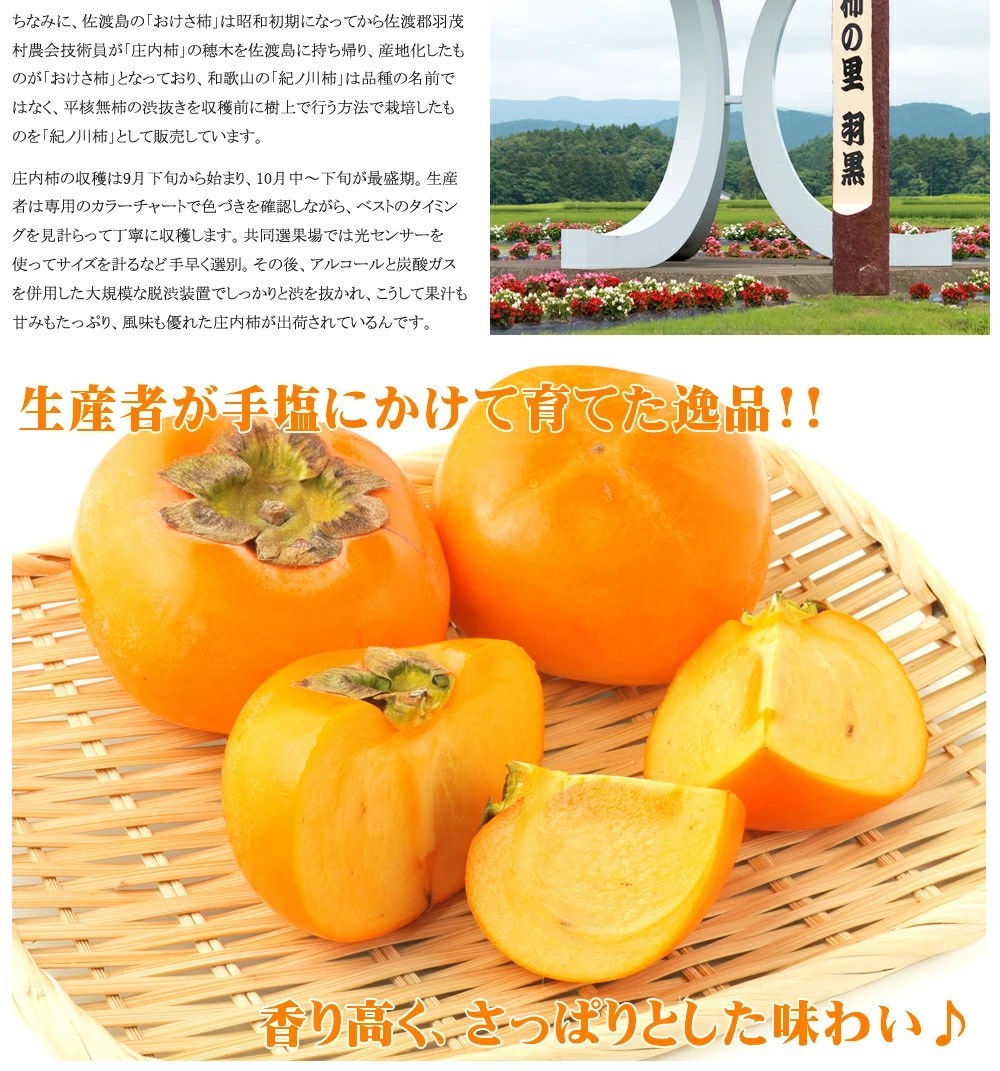 山形県産 柿 庄内柿 3.3kg(秀品 大玉 18玉入り)