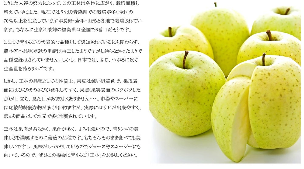 とっておきし新春福袋 山形県産 ご家庭用 青りんご 王林 10kg 22〜46玉入り 生食可