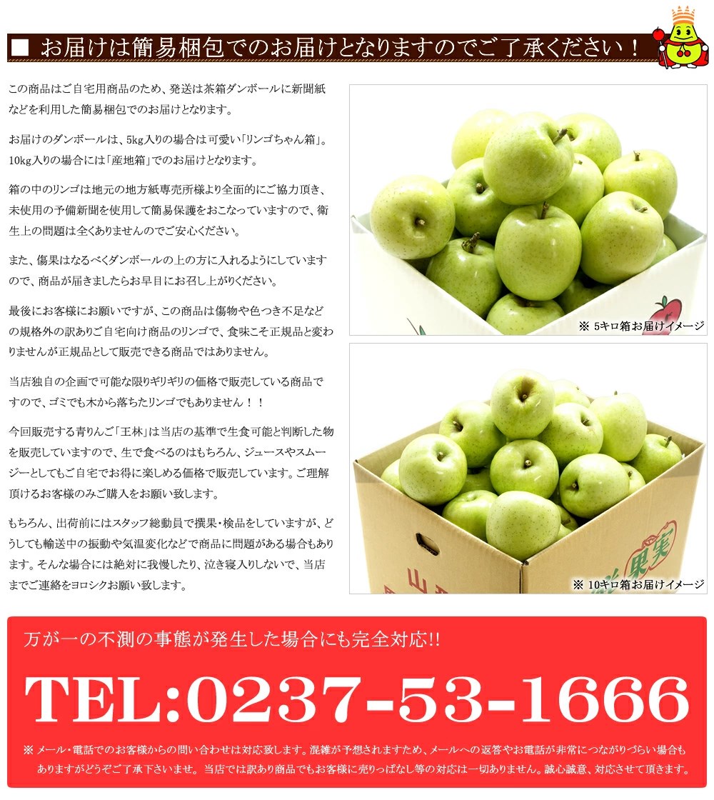 【出荷中】山形県産 ご家庭用 青りんご 王林 5kg(11〜23玉入り/生食可)