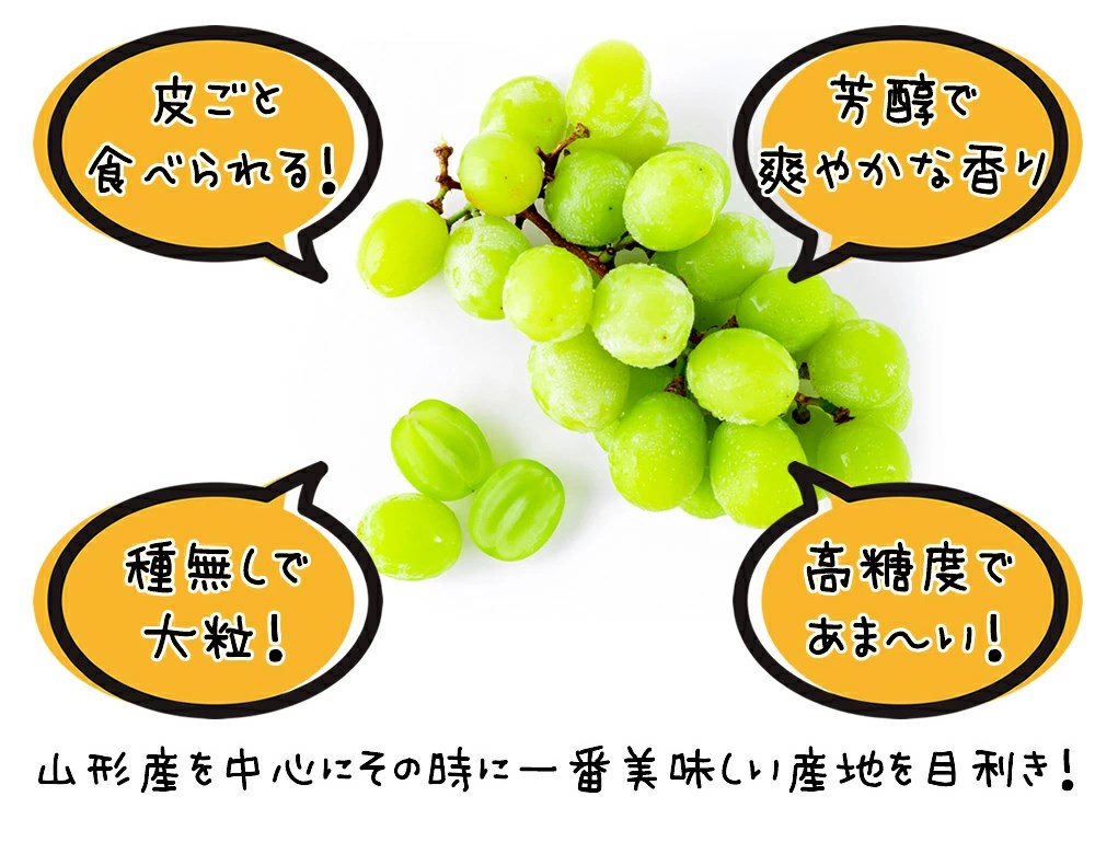 72％以上節約 産地厳選 ご家庭用 ぶどう シャインマスカット ダイヤパック(250g×2p) ぶどう 