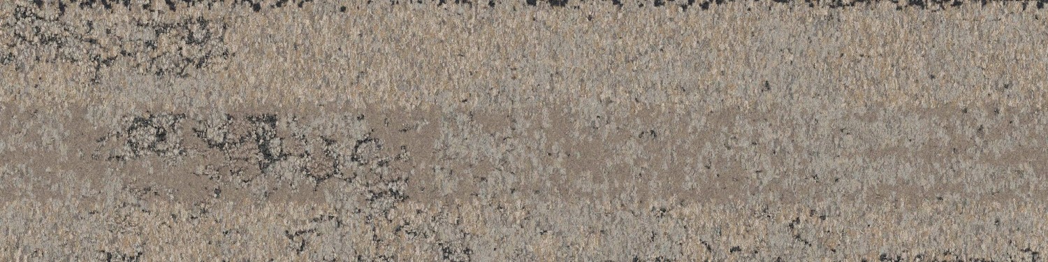 ヒューマン・ネイチャーコレクション/HN850 Interface