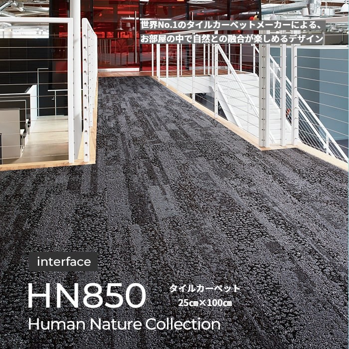 ヒューマン・ネイチャーコレクション/HN810 Interface